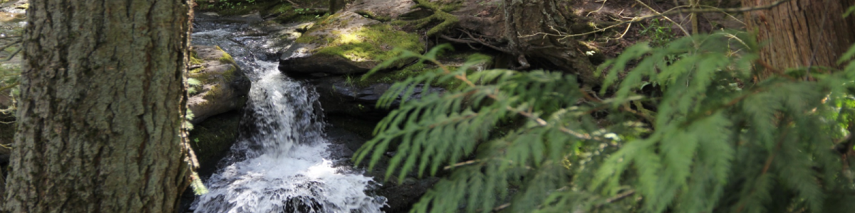 Featured image for Beaverton Climate Action Plan Update 2025
